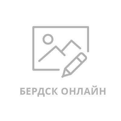 Выплаты на детей в июле 2023 года